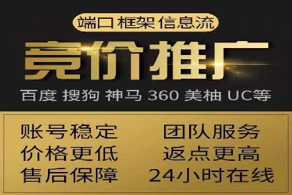 竞价广告赚钱案例：从新手到专家